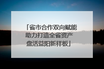 省市合作双向赋能 助力打造全省资产盘活益阳新样板
